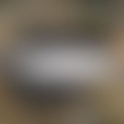 釣果報告(サツキマス）