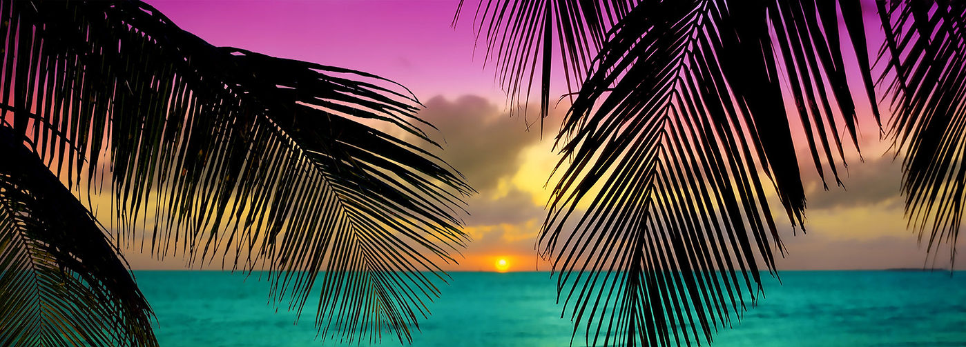 islamorada palms.jpg