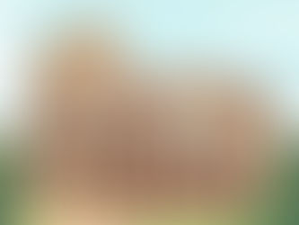 Como Tornar Sua Marca Inesquecível? Uma Aula de Comunicação com o Coliseu de Roma.