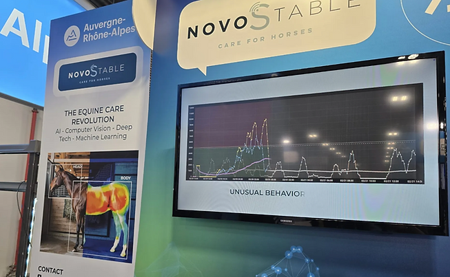 Screenshot 2025-01-31 at 11.47.58.png