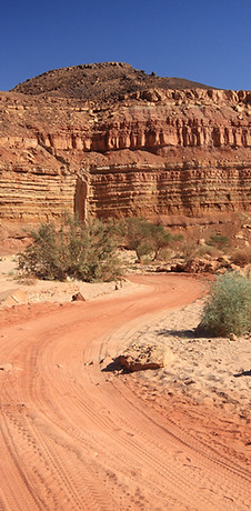 Desert Road 