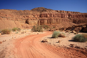 Desert Road