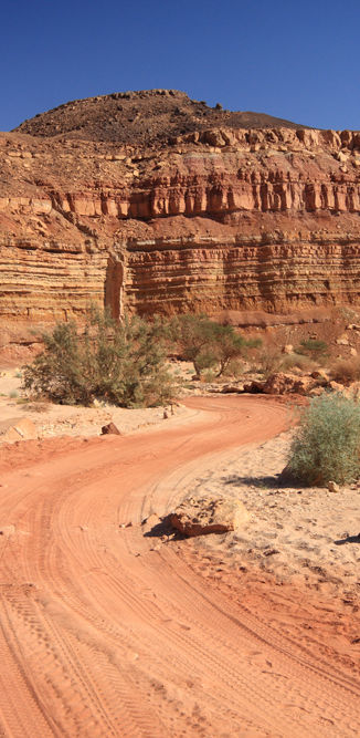 Desert Road