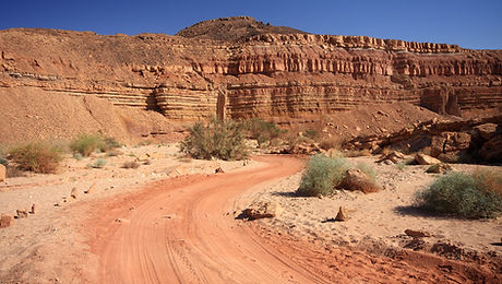 Desert Road 