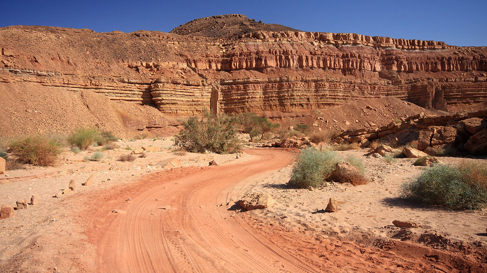 Desert Road 