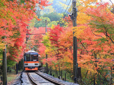 🚃【京都紅葉季】叡山電鐵「紅葉隧道」再度登場！貴船・鞍馬秋日絕景 × 夜間燈光列車體驗