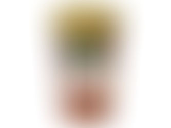 【新品速遞】Mount Rainier「Caffè Latte Milk Chocolat」期間限定登場|雙重巧克力 × 香濃咖啡的冬日幸福味道