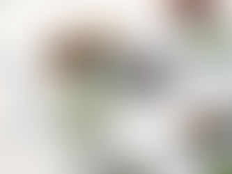 無印良品 2026 年薄荷朱古力系列食品與飲品，包括卷蛋、雪糕、大福、latte 及薄荷氣泡水