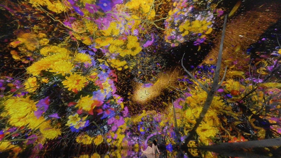 The Way of Birds(鳥道)