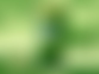 日本 Starbucks「玉露抹茶星冰樂」限定飲法