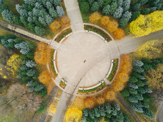 The Courage to Imagine a New World