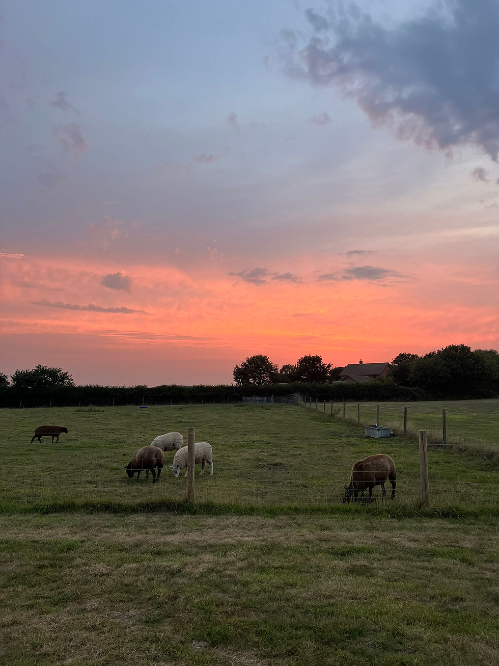 Sound & Night Skies Session at Stargazer 