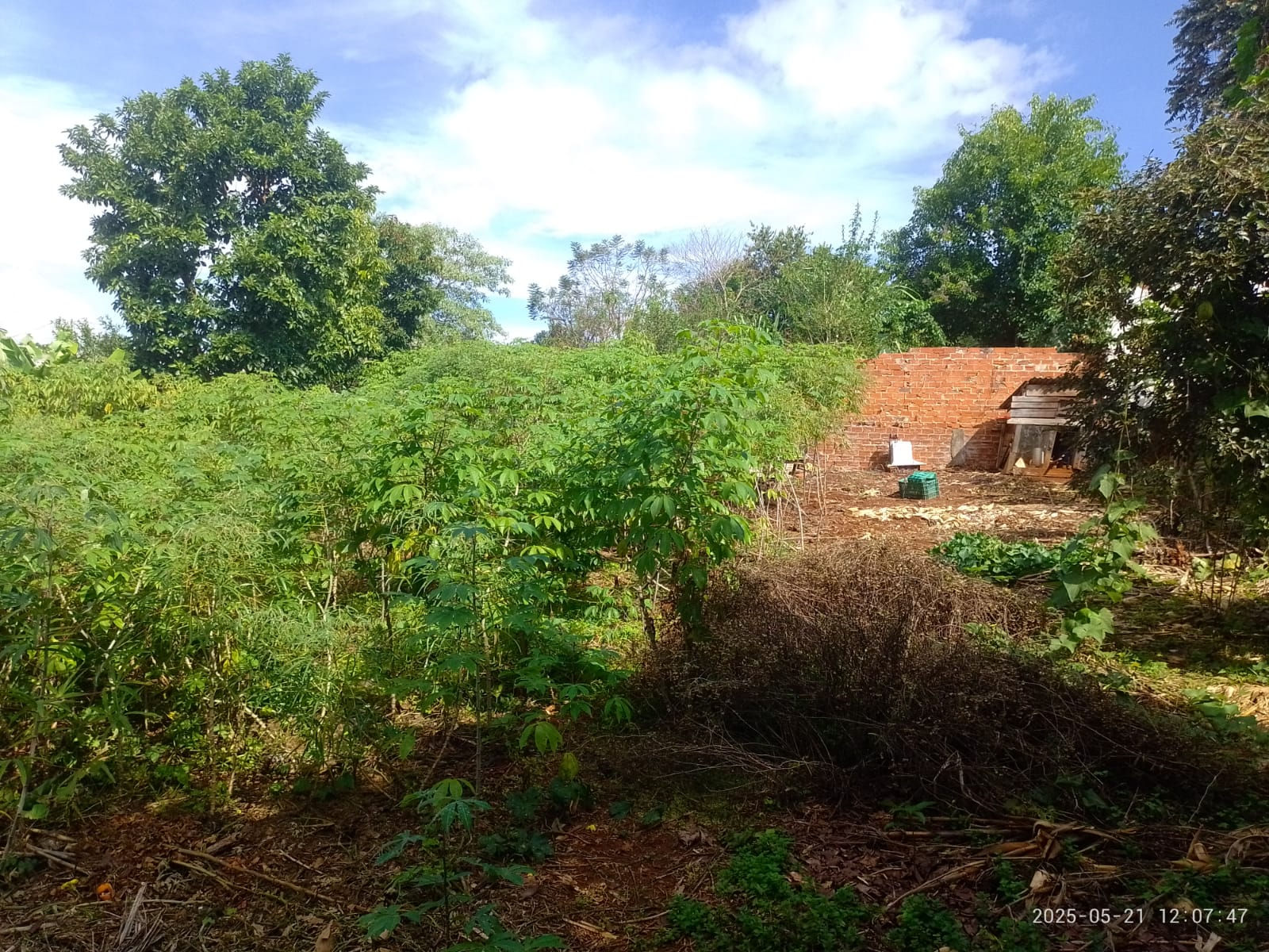 Quase 1000 M² A Uma Quadra da Av.