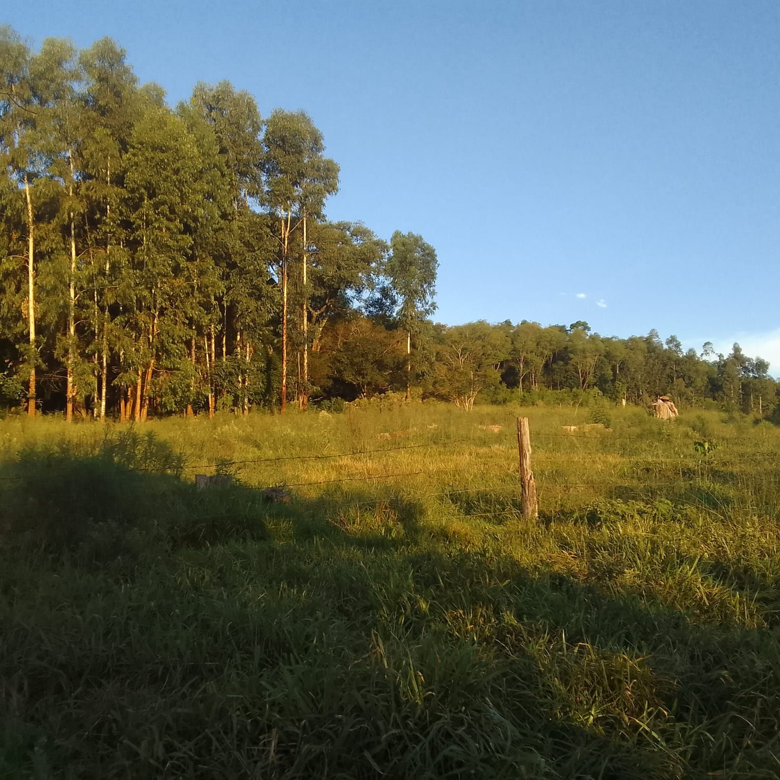 Chacara Lagoa Seca No Candói
