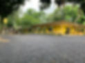 WhatsApp Image 2025-03-05 at 1.50.31 PM.jpeg
