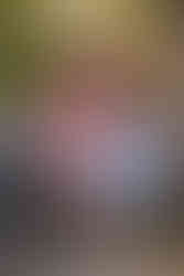 A woman in a pink dress stands with three smiling girls in blue dresses by a tree and bench, with blooming flowers in the background. Viewpoint Photography Edmonton