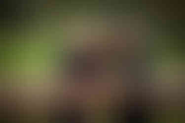 Smiling couple leaning on a wooden railing, set against a lush green background. They're wearing dark and green tops, exuding a warm mood.