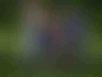 A family with their grandparents standing together on the grass near a rustic wooden fence. Family Photos Edmonton.
