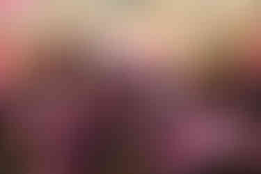 People in pink shirts seated in a mall, watching speakers near a pink backdrop with "Power of Pink" text. The atmosphere is positive and engaged. Southgate Centre Edmonton Event Photographer