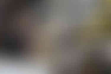 Man using a machine in a workshop with shelves of ropes and boxes labeled "Palmetto Packings." He appears focused and content.