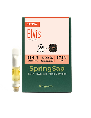Elvis 0.5.png