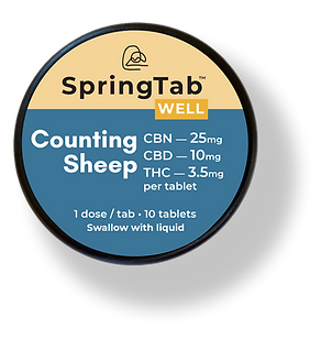 Counting Sheep 2026.png