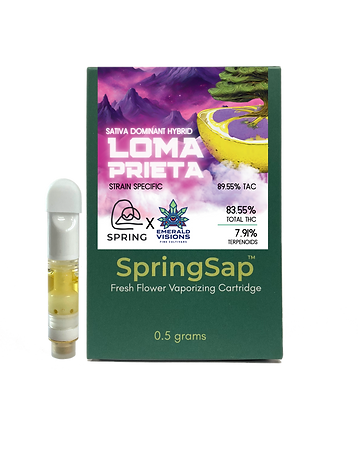 Loma Prieta 2025.png