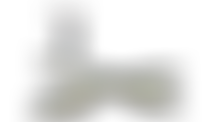 Image by Kingrise from Pixabay