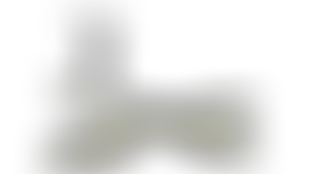 Image by Kingrise from Pixabay