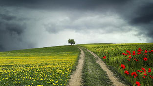 Image by bess.hamiti@gmail.com from Pixabay