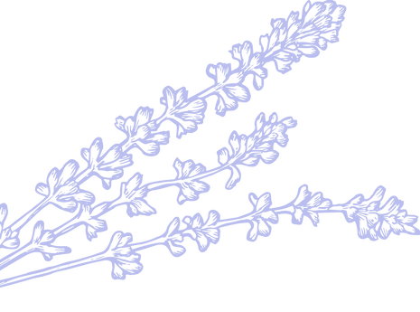 Lavender 2_300x.png