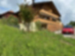 IMG_7486.jpeg