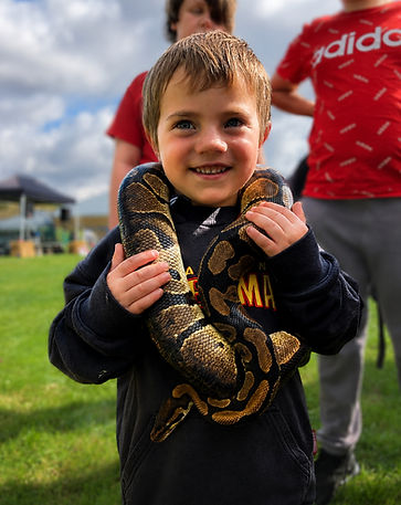 Child holding a royal python during a Wriggly Roadshow animal encounter