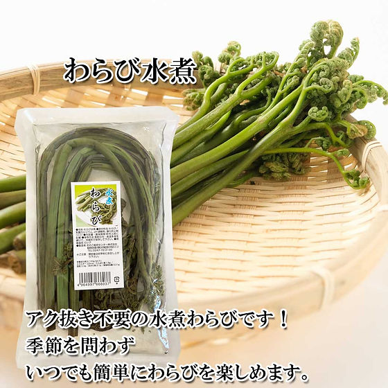 わらび　苗　100本 水煮 わらび 100g | きのこの杜オンラインショップ