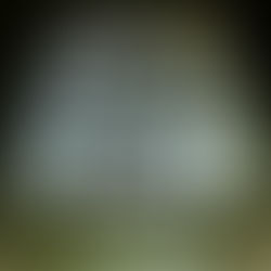 Judit mutatós rémese