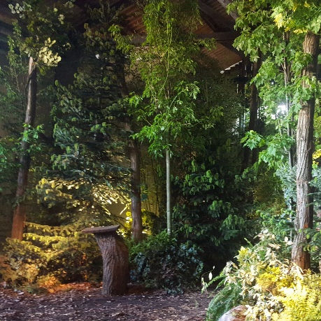 allestimento bosco in spazio chiuso con alberi, tronchi felci e sassi finti per evento e festa aziendale