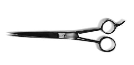 Barber Scissors
