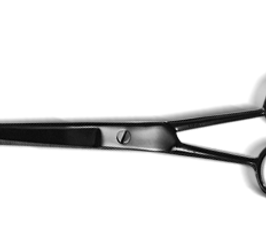 salon scissors