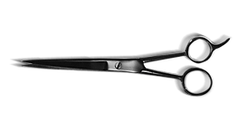 Barber Scissors