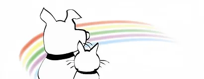 Beyond The Rainbow Pet Hospice Memorial Center Around Dallas Tx