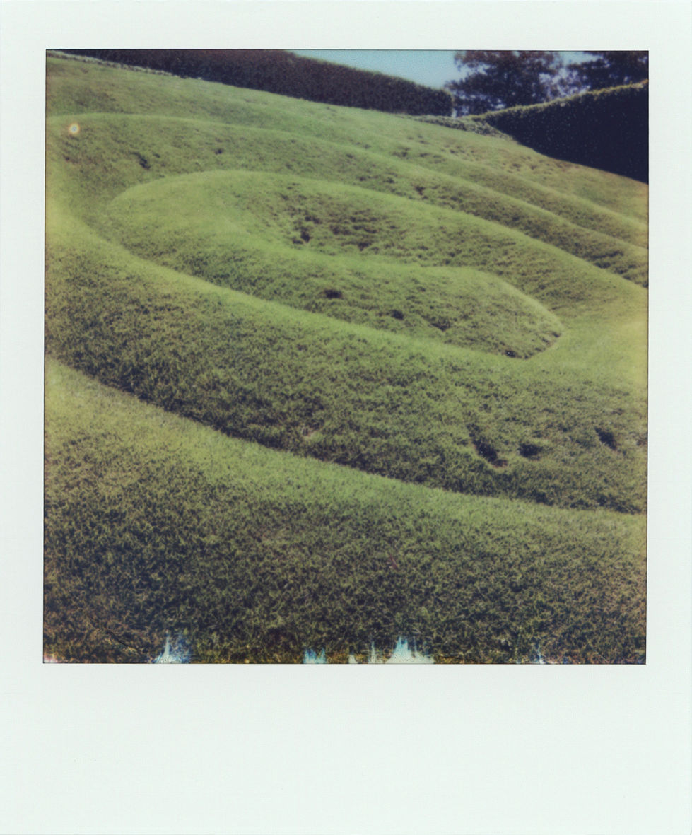 scan03