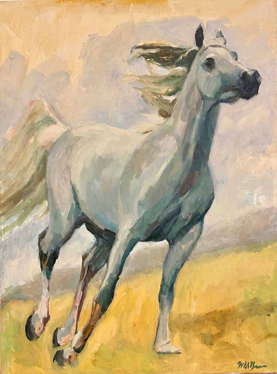 Poseidon 40" x 30" Oil on canvas of a white horse with head raised running  by fine artist William "Bill" St. George
