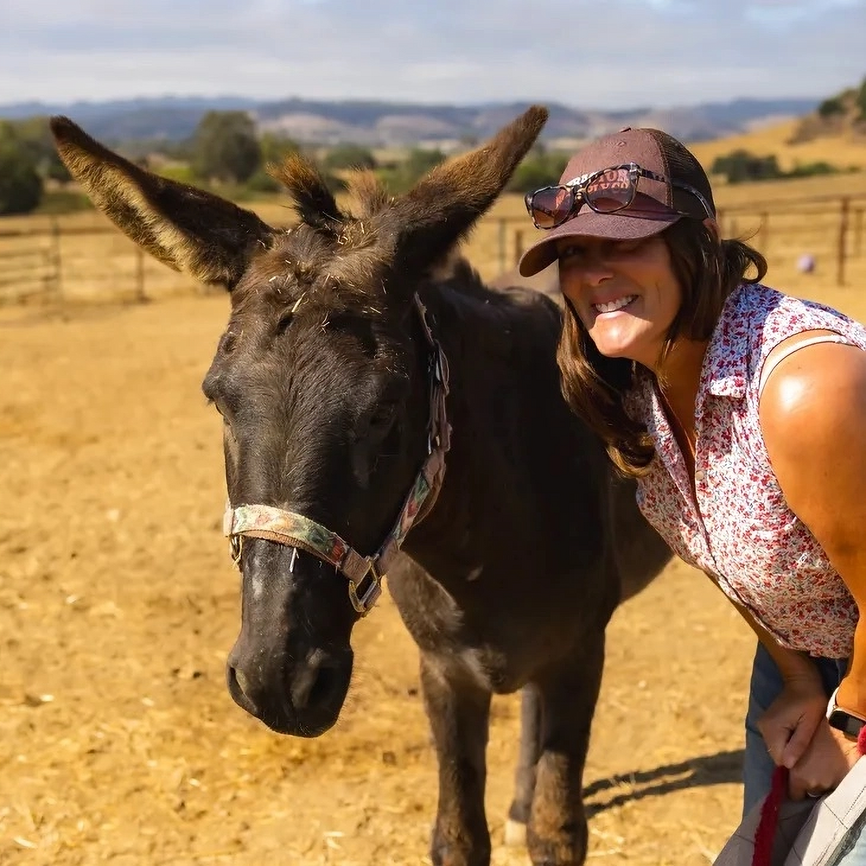 Writer: Laura DiMille