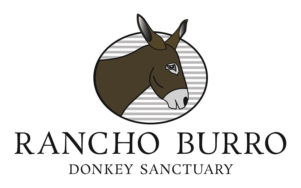 Stylized donkey head in profile within a striped circle, with text "Rancho Burro Donkey Sanctuary" below, on a white background.