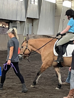 Therapeutic horse with a volunteer and client at The Right Step, Inc. 