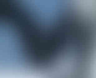 Two rescued horses interact, standing nose to nose in a natural environment during winter at the 9,000-acre Skydog Ranch and Sanctuary. 