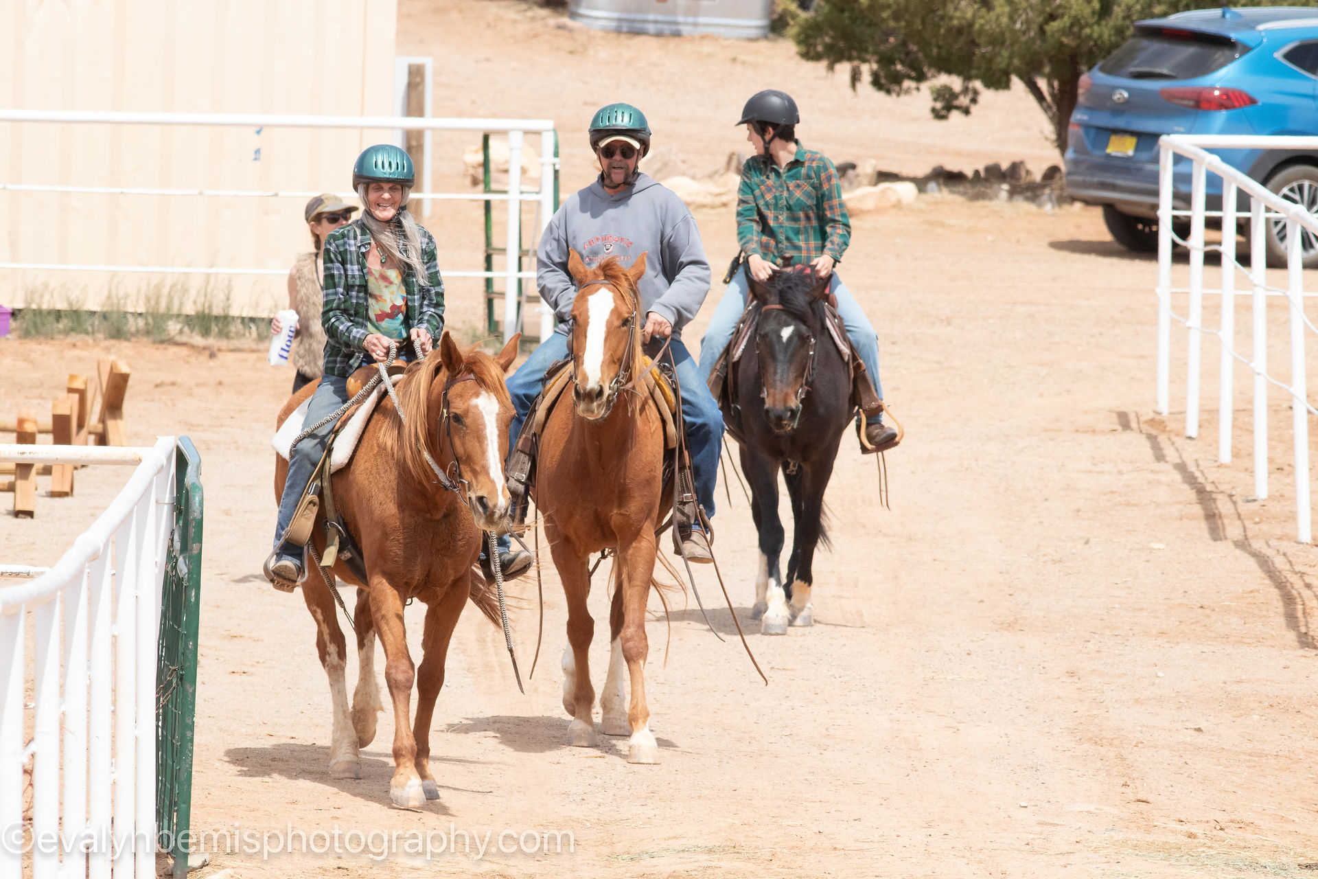 The Horse Shelter is an equine rescue and nonprofit organization in northern New Mexico. Our mission is to rescue, rehabilitate and facilitate the adoption of abused, abandoned and neglected horses throughout New Mexico.