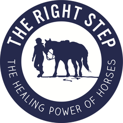 Sponsor a Therapy Horse today by clicking on one of the images of these amazing horses!