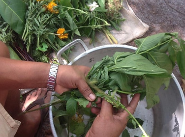 Preparation-of-Plant-Vapor-Bath.jpg