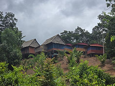 b91e202c-1795-441e-8e33-285229727664.jfif